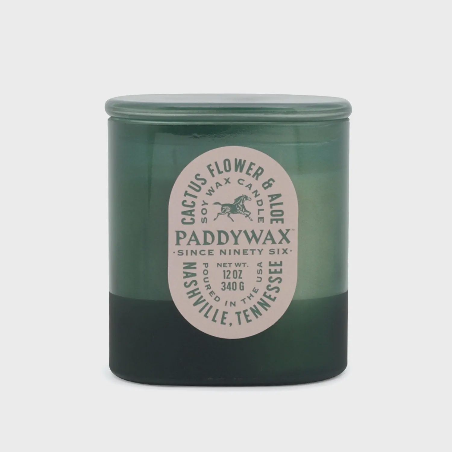 Paddywax Vista Glass Candle Cactus Green - Cactus Flower ad Aloe 340gm