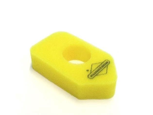 Briggs &amp; Stratton Air Filter (698369)
