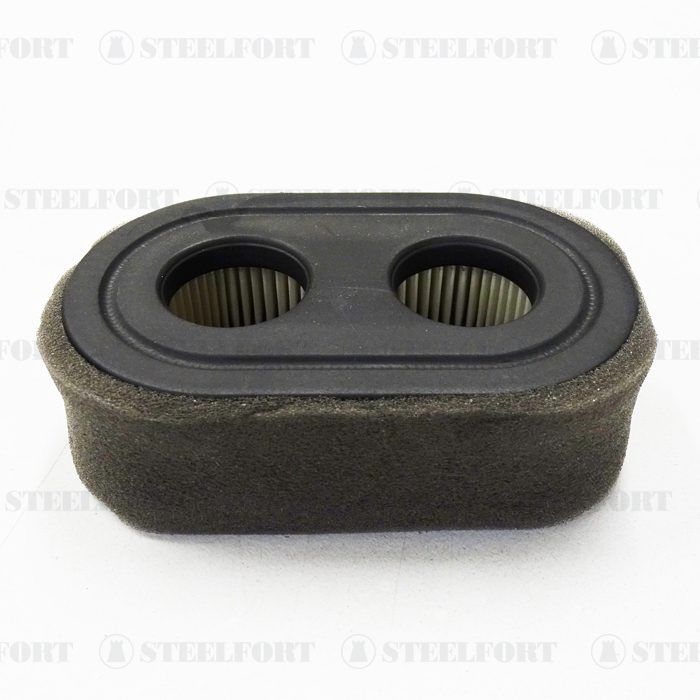 Briggs &amp; Stratton Air Filter &amp; Prefilter (798452, 593260)