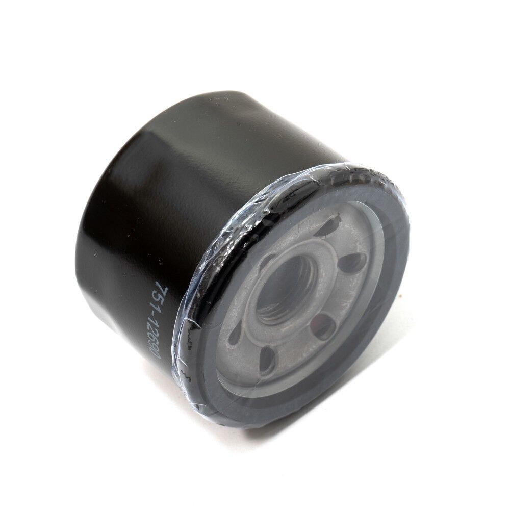 MTD Oil Filter (95112690)