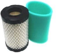 Briggs &amp; Stratton Air Filter (591334)