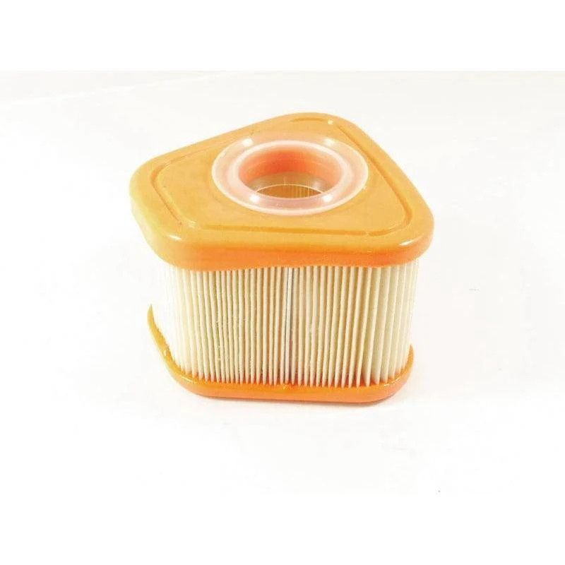 Briggs &amp; Stratton Air Filter (597265, 595853)