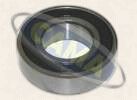 Ball Bearing (75-3239)
