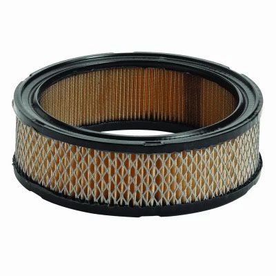 Briggs &amp; Stratton Air Filter (394018, 392642)