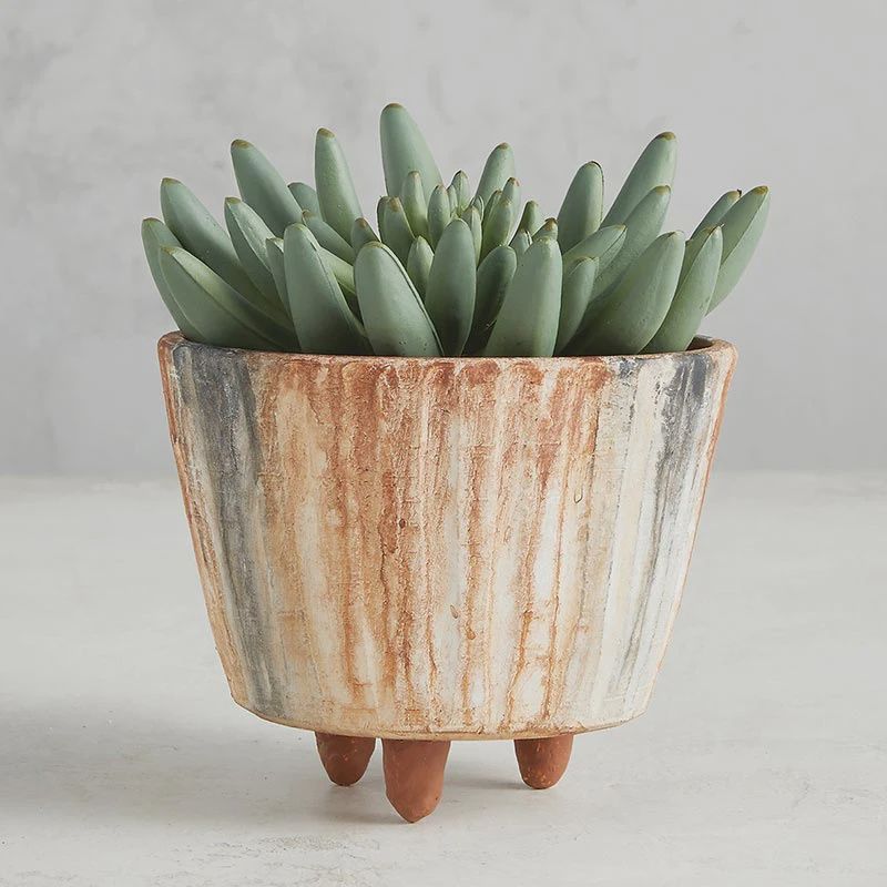 Terracotta Painted Pot