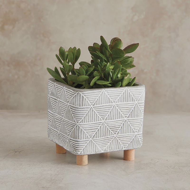 Square Cement Planter with Wooden Legs
