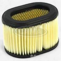 Briggs &amp; Stratton Air Filter (10-1049)