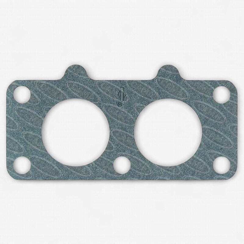Intake Gasket (690950)