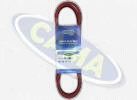 Transmission Belt (78-3851)