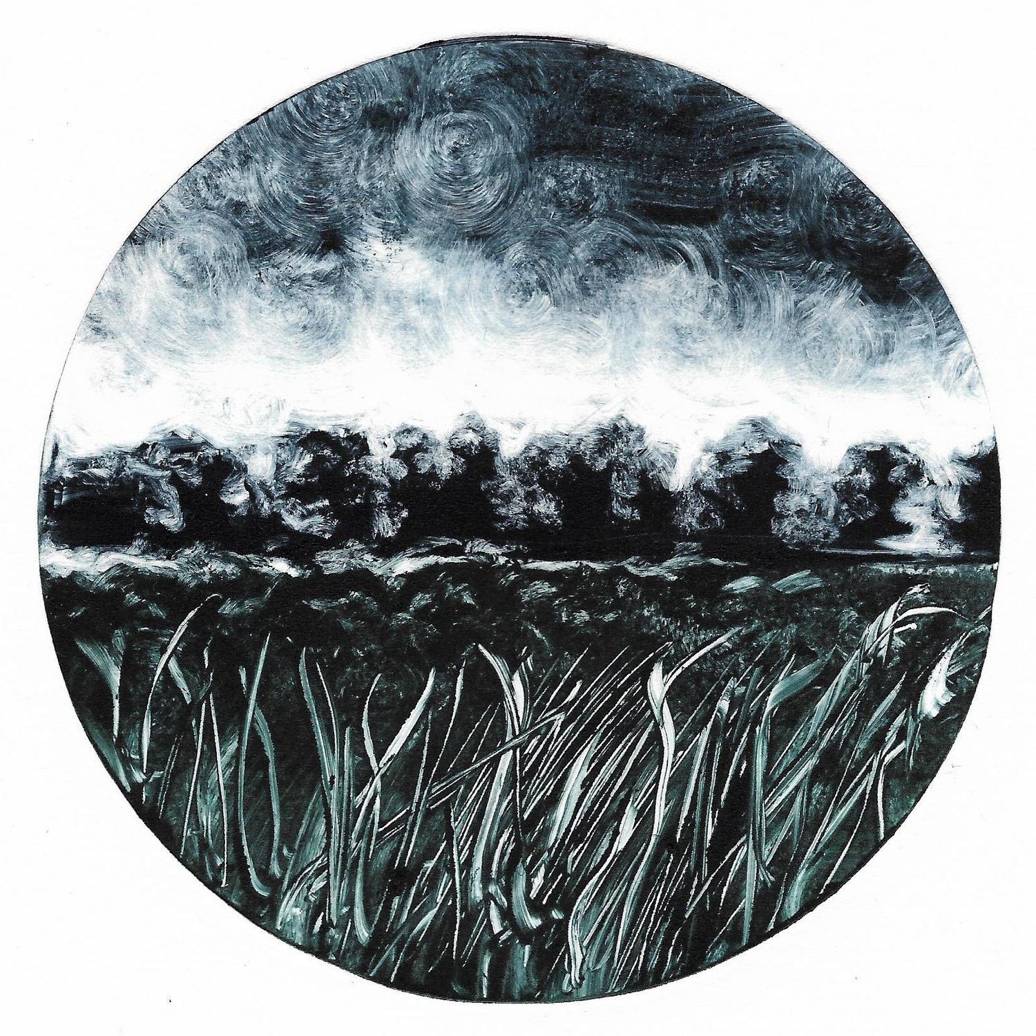 Stormy Meadow