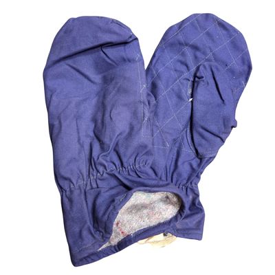 Romanian Blue Winter Mittens