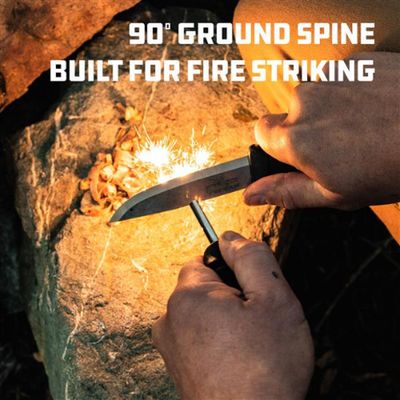 Mora Companion Spark