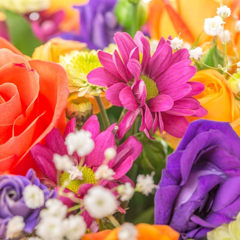 Vivid & Bright Vivid & Bright