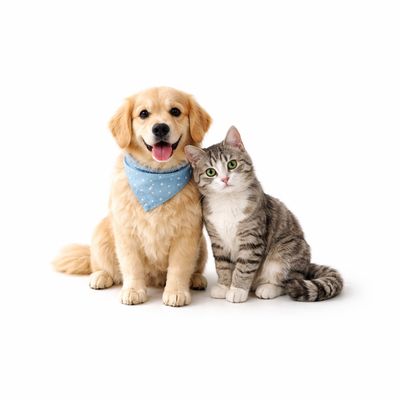 OTHER ANIMALS