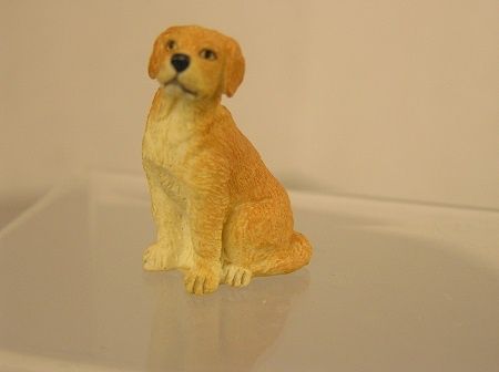1/24th Golden Retriever Aug-68