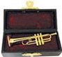 2.5 Inch Trumpet with Case VMM302SM