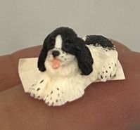 1/24th Laying Black and White Dog 275419