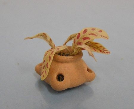 1/24th Strawberry Jar with Plant mc05318