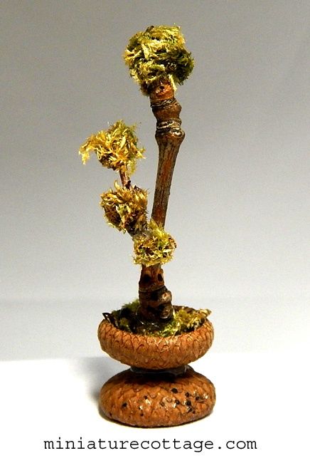 Accent Tree tm1403