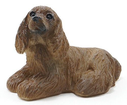 American Cocker Spaniel IM65272