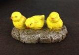 Baby Chicks on Rock GZER34510a