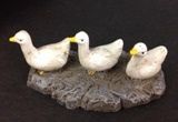 Baby Ducks on Rock GZER34510b