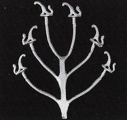 6 Hat &amp; Coat Hooks phdh010