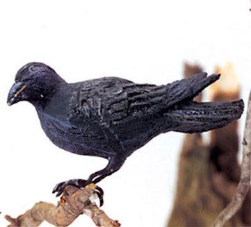 American Crow azepmc148