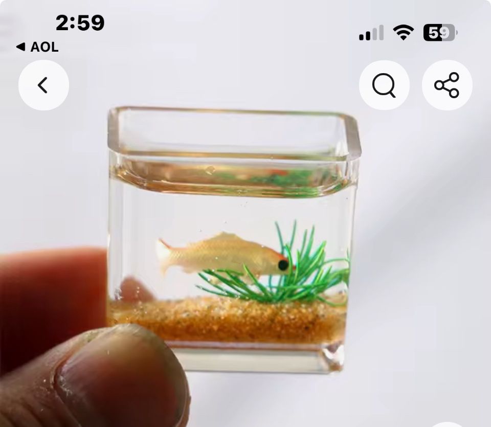 Aquarium with Fish and Plant tank01