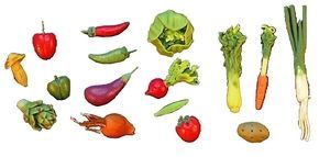 Assortment of Fresh Vegetables p051