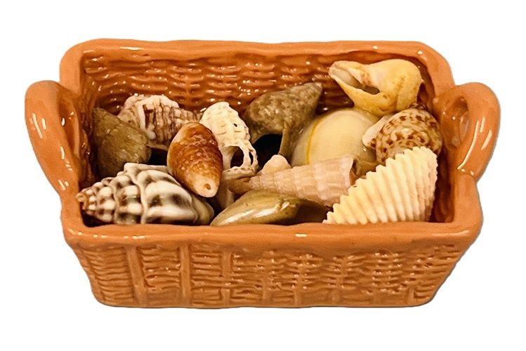 Basket of sea shells md2020