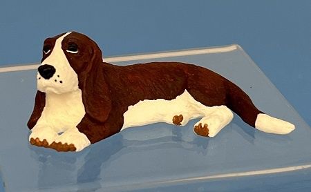 Basset Hound ala620