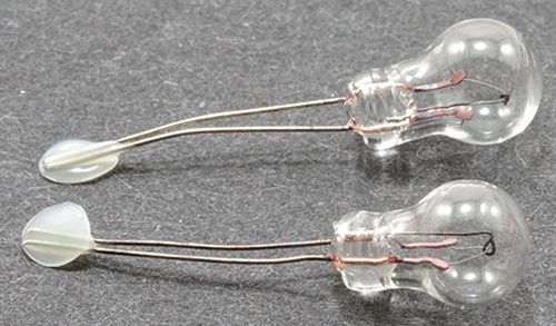 Bi Pin Pea Bulbs mh44037