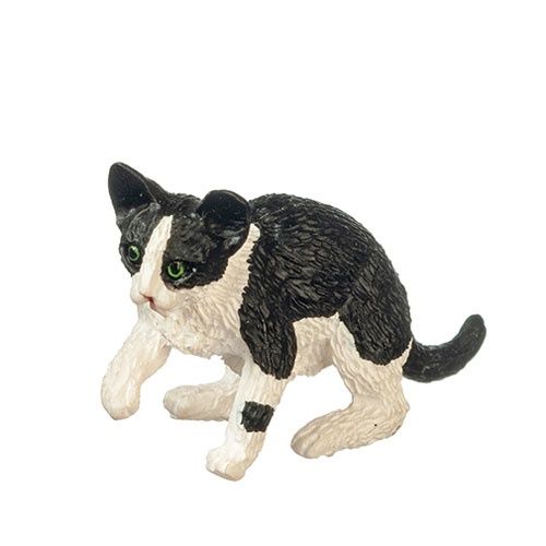 Black &amp; White Cat with Paw Up aza6008