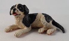 Black and White Dog 62015t