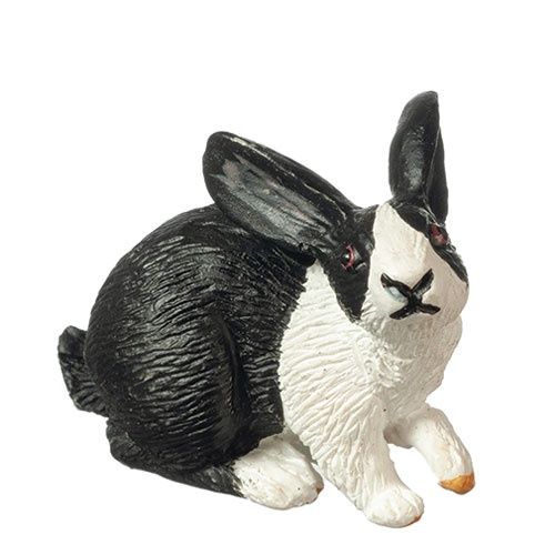 Black and White Rabbit aza6060