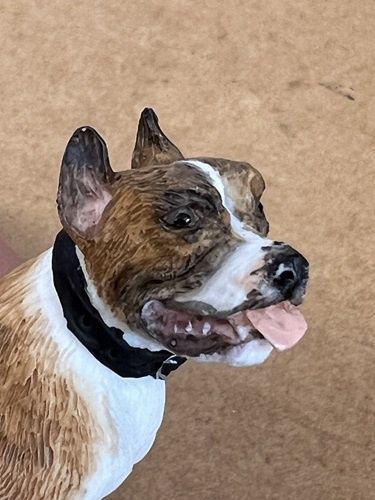 Boxer/Pit Bull mn603a