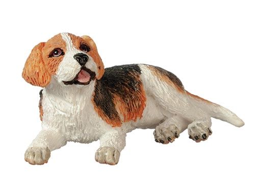 Beagle aza6044