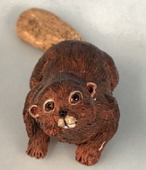 Beaver A259
