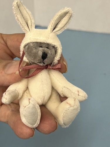 Bear in Rabbit Costume mn135d