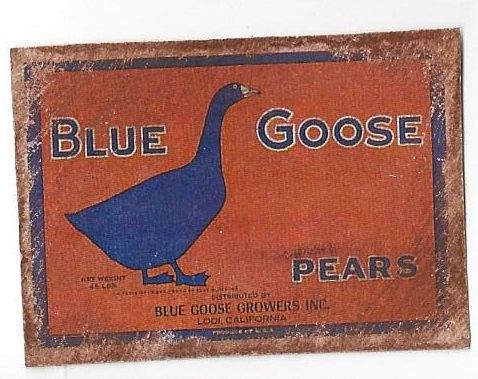 Blue Goose Tin Sign fc0033