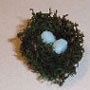 Bird Nest With Eggs rnd249
