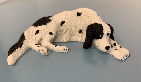 Black and White Pointer ala828