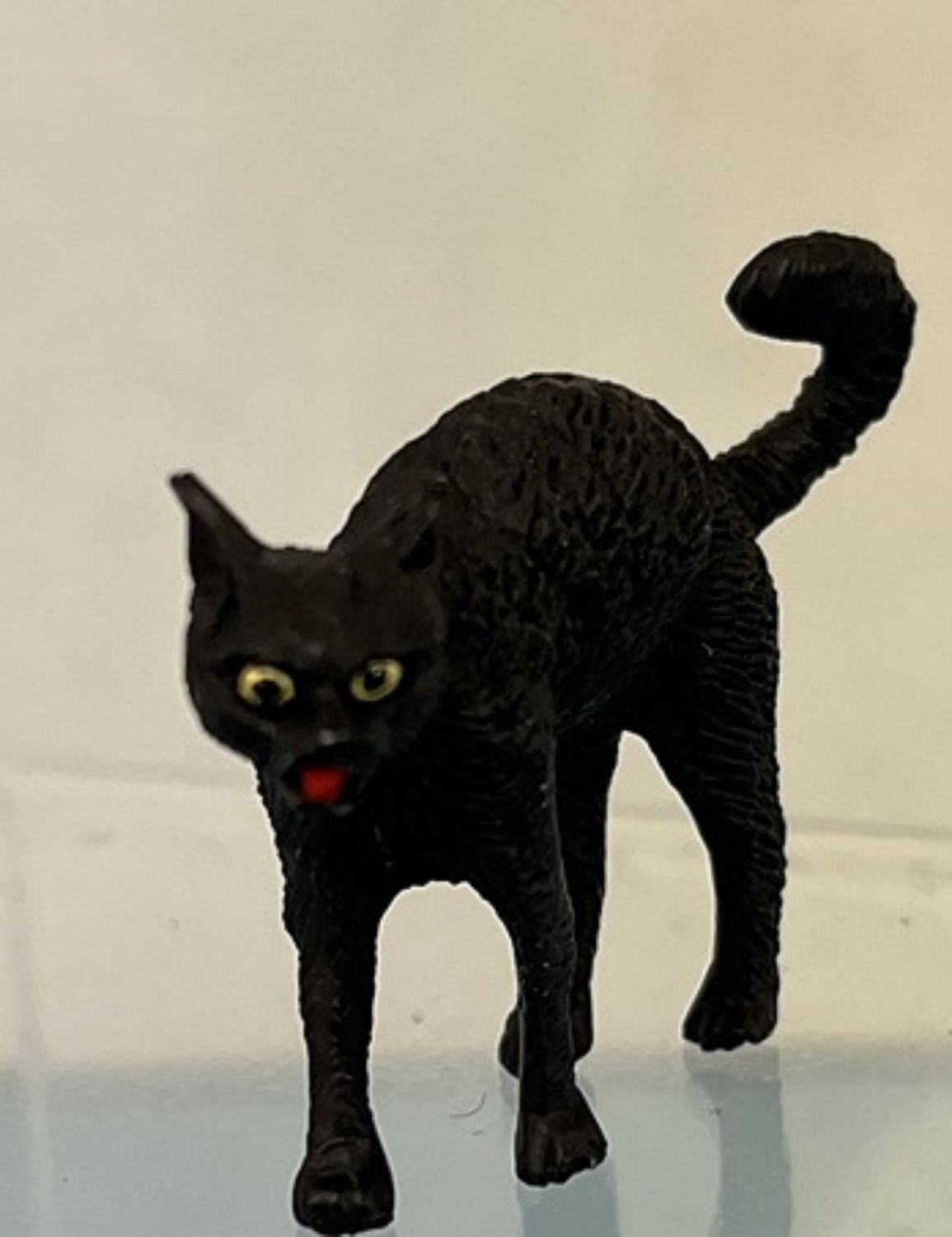 Black cat MN597