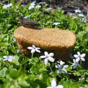Blackbird Bench BBB1765