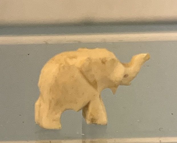 Bone Elephant - Medium 727med