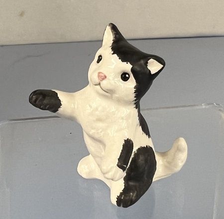 Black and White Kitten ch22009