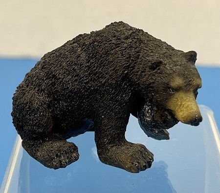 Black Bear ala617