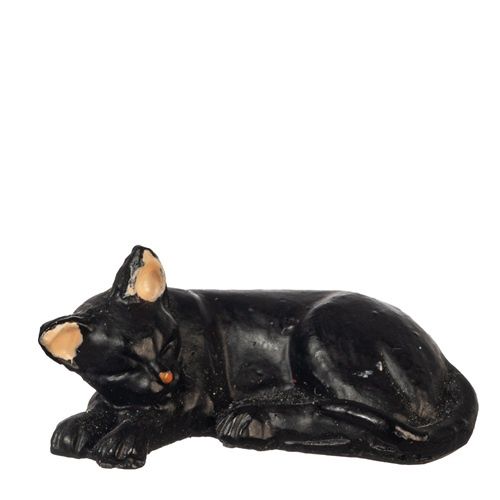 Black Cat, Laying e0135