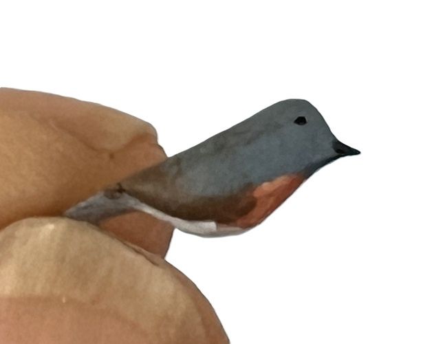 Bluebird mc389xa